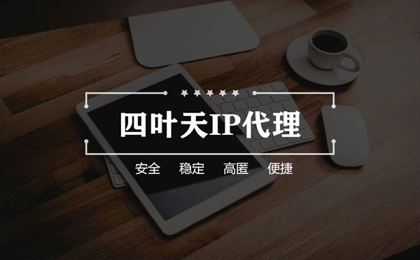 【萍乡代理IP】如何快速搭建代理IP？怎么检查代理的效果？